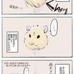 飼ったことがある人なら一度は見たことがある光景？ハムスターあるあるを描いた漫画が話題に!