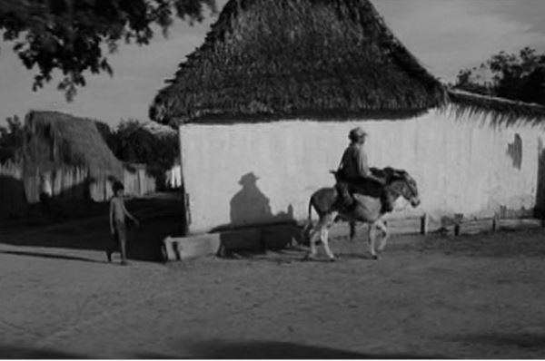 Panorama Cultural tweet media