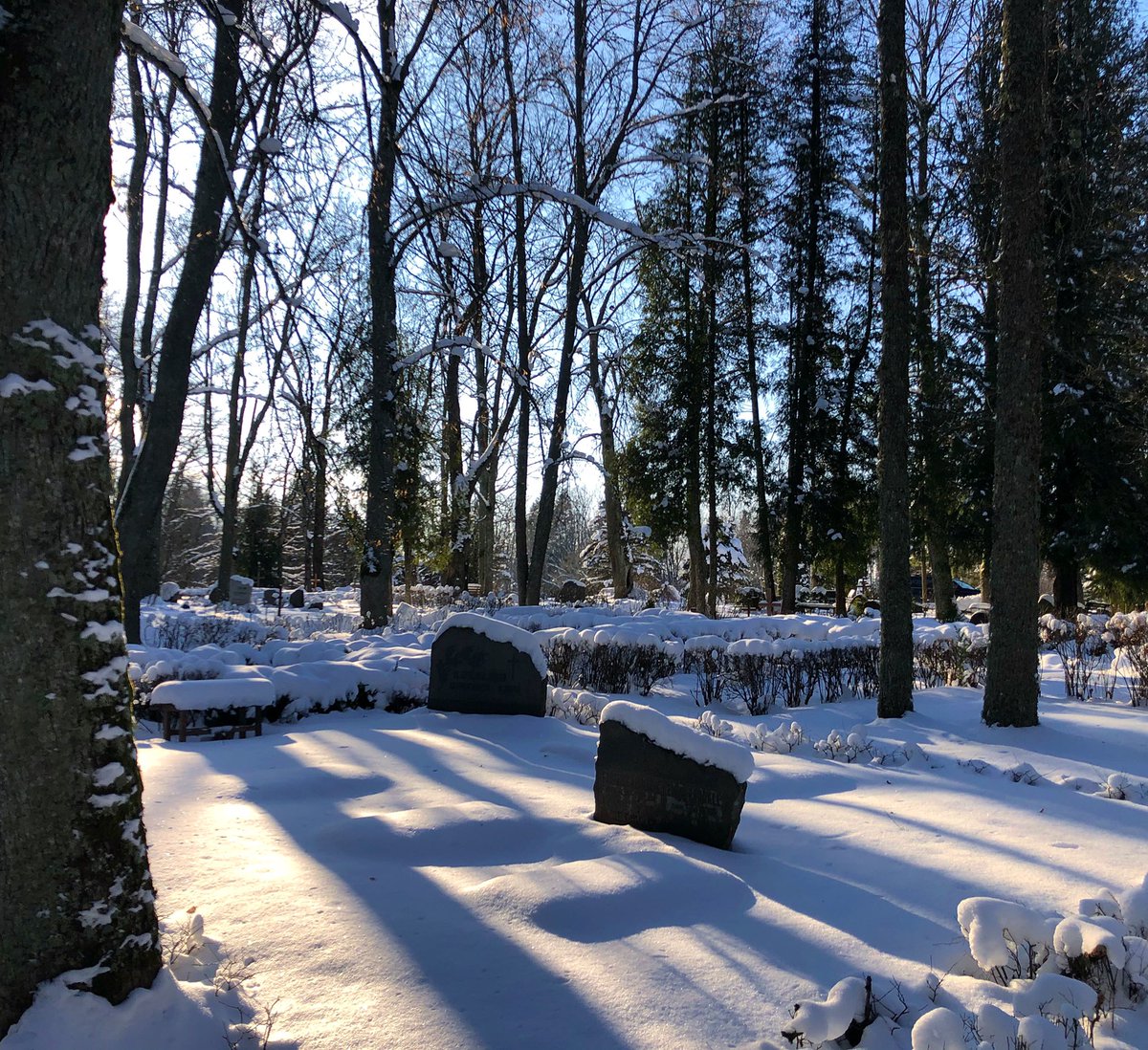vkoralis's tweet image. Šodien satikāmies aukstos, bet saulainos Limbažu kapu laukos, atvadoties no mammmas, vecmāmiņas un lielas dziedātājas. Diena, kad redz elpu, bet prieks, ka varējām bērēs visi kopā padziedāt... 
ticu.lv
#bēres #limbaži #limbažukapi #atvadas #dziesma
