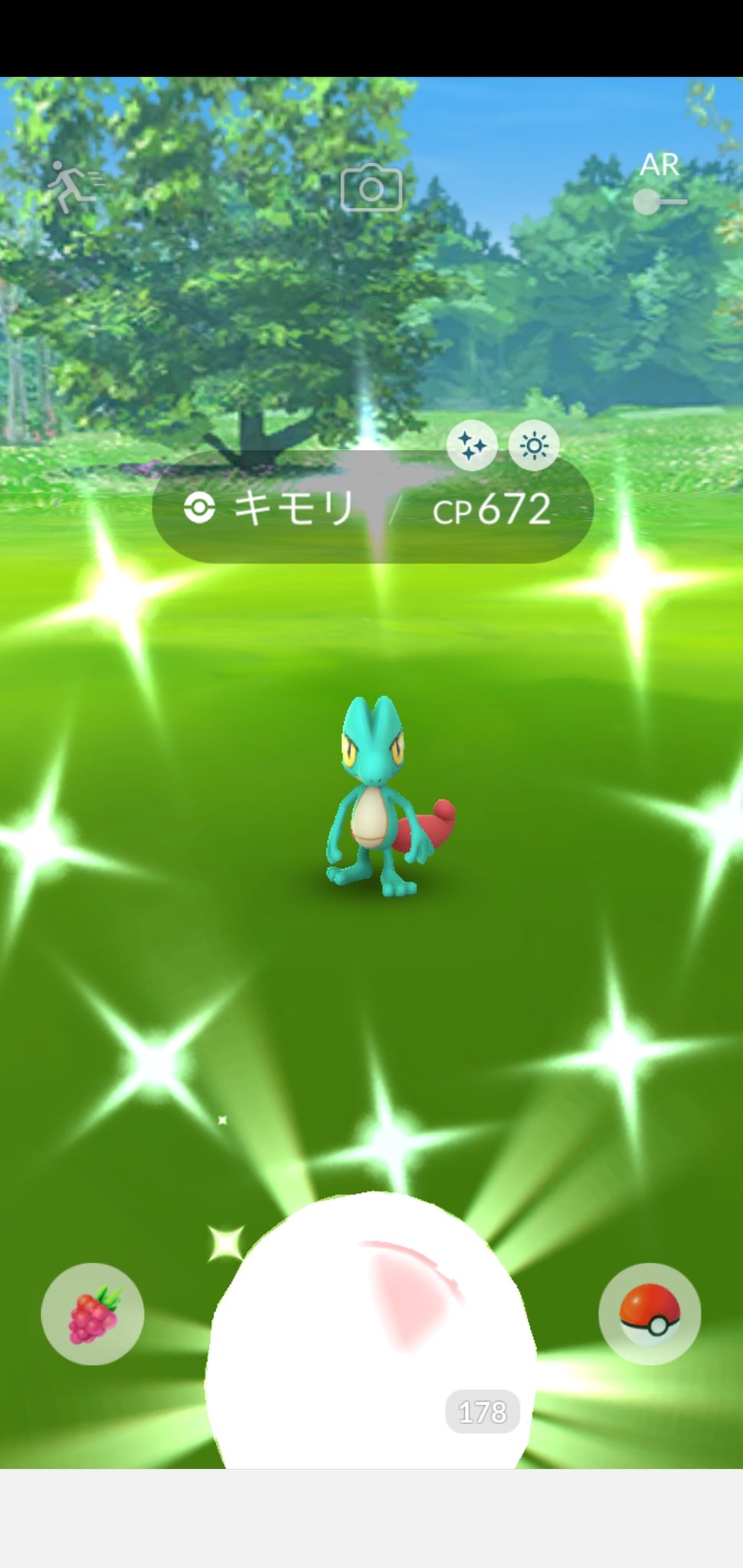 Uzivatel Amazinghisa Na Twitteru 今日のポケモンgo活動1 家のポケソースでイーブイが光った キモリの巣 になっている朝活の公園でキモリが光った 手持ち入れ替わり後 初のシエラ戦 無事 撃破しました ポケモンgo イーブイ キモリ 色違い シエラ