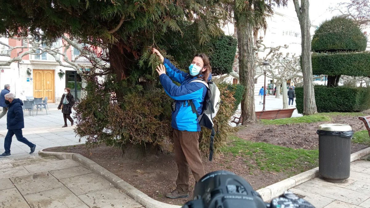 AulaMedAmb's tweet photo. #ProgramaEduca Este curso, por el #covid, nuestros técnicos no han podido visitar los centros escolares que participan en el programa de apoyo al sistema educativo EDUCA... 📽Pero es muy posible que los veáis 👩👨grabando contenidos divulgativos🌲🦅🦟 para su trasmisión online😝 https://t.co/w0JjGBY4Hm
