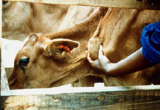 MinofLands,Agric,Fisheries,Water&Rural Development tweet media