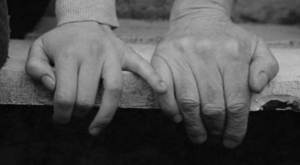 "Gönüllerinizi verin, fakat diğerinin himayesine değil."

-Halil Cibran