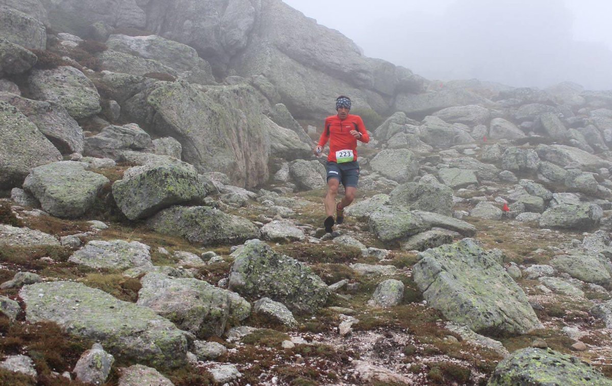 ingrAvidos 🎙 tweet media