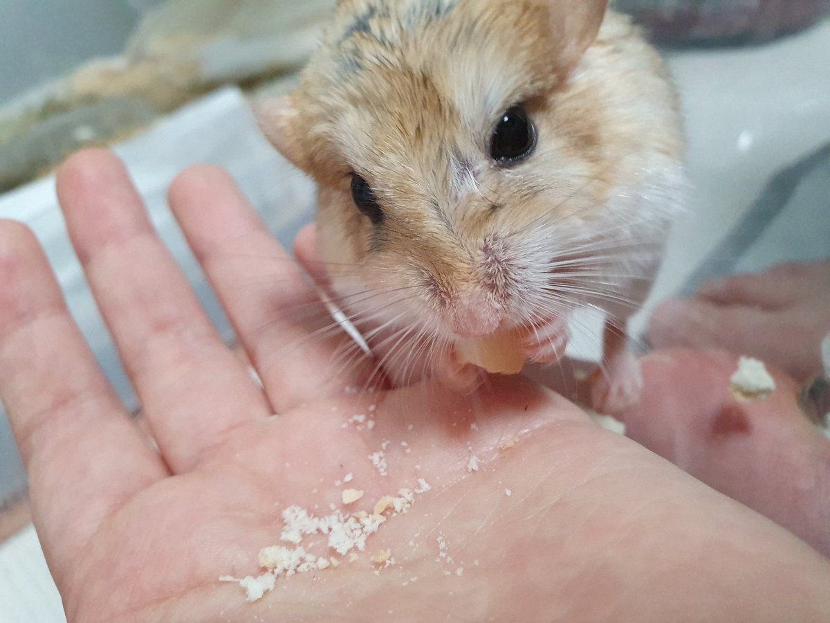 오늘의 부스러기