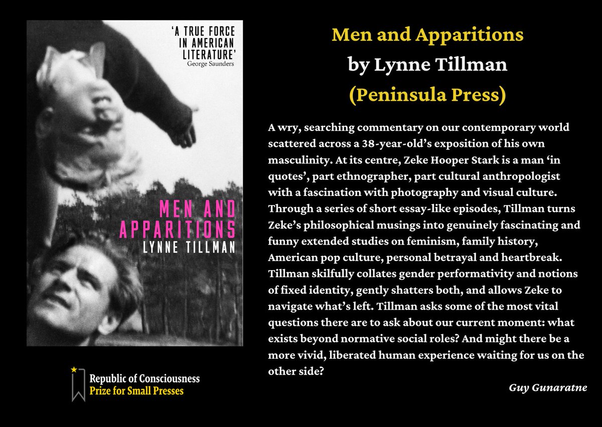 Men and Apparitions by Lynne Tillman ( @glossitis), published by Peninsula Press ( @PressPeninsula)