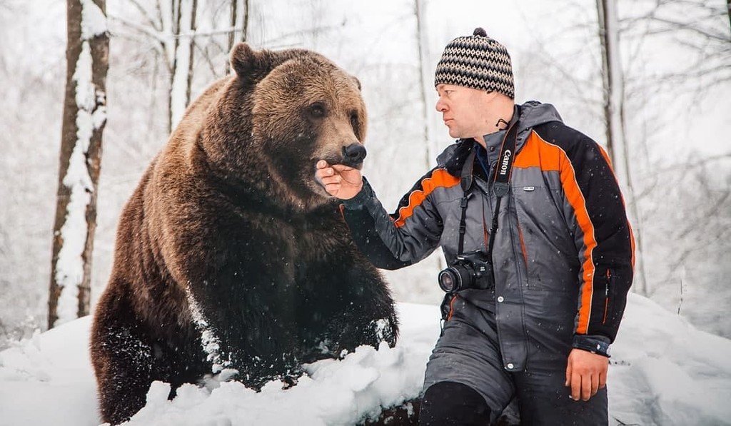 Спасение белого медведя. Спасение белого медведя. Медведи репортаж. Медведи репортаж. Медведи репортаж.