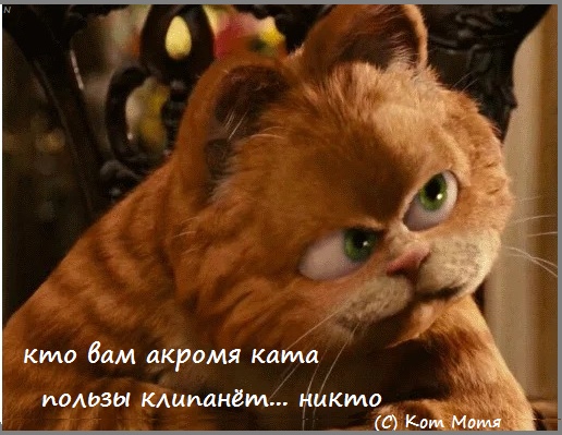 Блог Кота Моти.: читверк catmotya.blogspot.com/2021/02/blog-p…