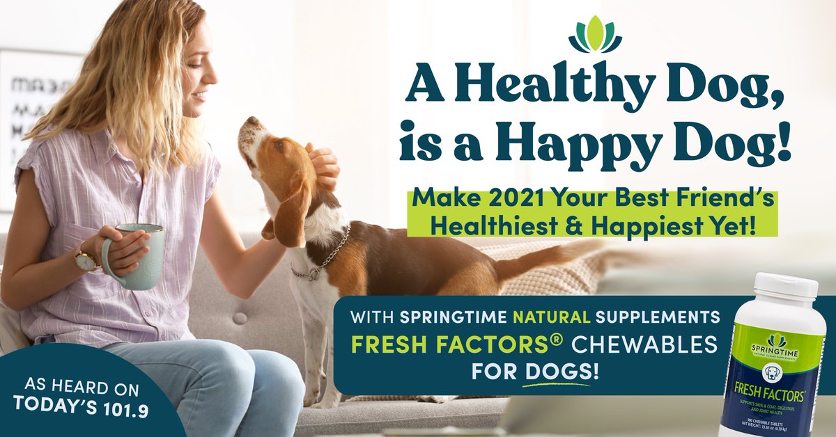 springtime_supp's tweet image. Hey, Baltimore 👋 have you heard us on Today&apos;s 101.9?! Tune in on your morning commute to hear all about how natural supplements can give your pup the boost they need in 2021 🐶