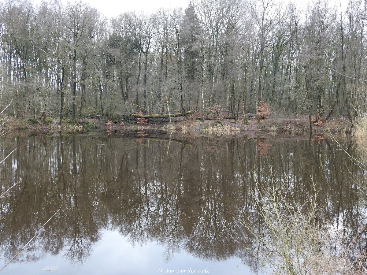 BekiekTwente's tweet photo. Lekker rode route wandelen (7,5 km) in Roderveld in #Volthe #Voalth #Rossum
#Dinkelland #Twente #BekiekTwente
2/2 https://t.co/ZpVUQ2qFdw