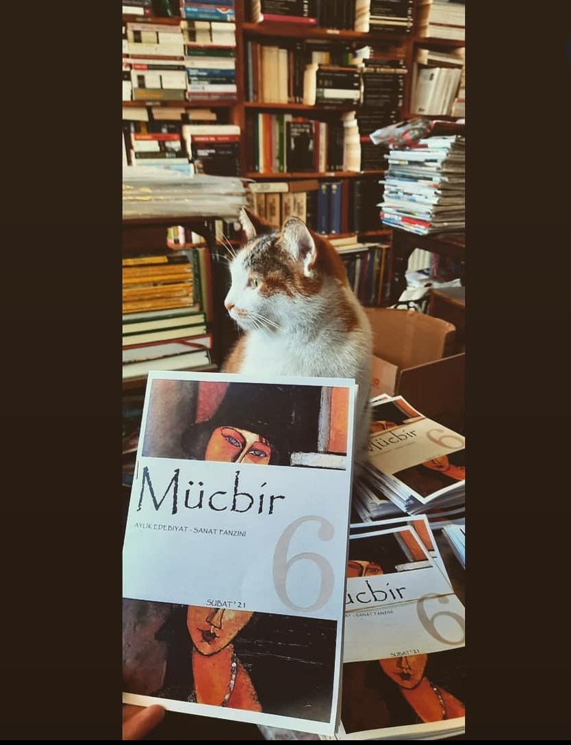 6.sayımız çıktıı🎉 Mücbir'in 6.ayını devirmesinin mutluluğu içindeyiz. İfade etmek, paylaşmak, üretmek, ortaklaşmak kavramlarını öğrendiğimiz, derinleştirdiğimiz Mücbir yolculuğunda, daha nice işlerle sizlerle birlikte olmayı arzuluyoruz. Bloğumuzdan yeni sayımıza erişebilirsiniz