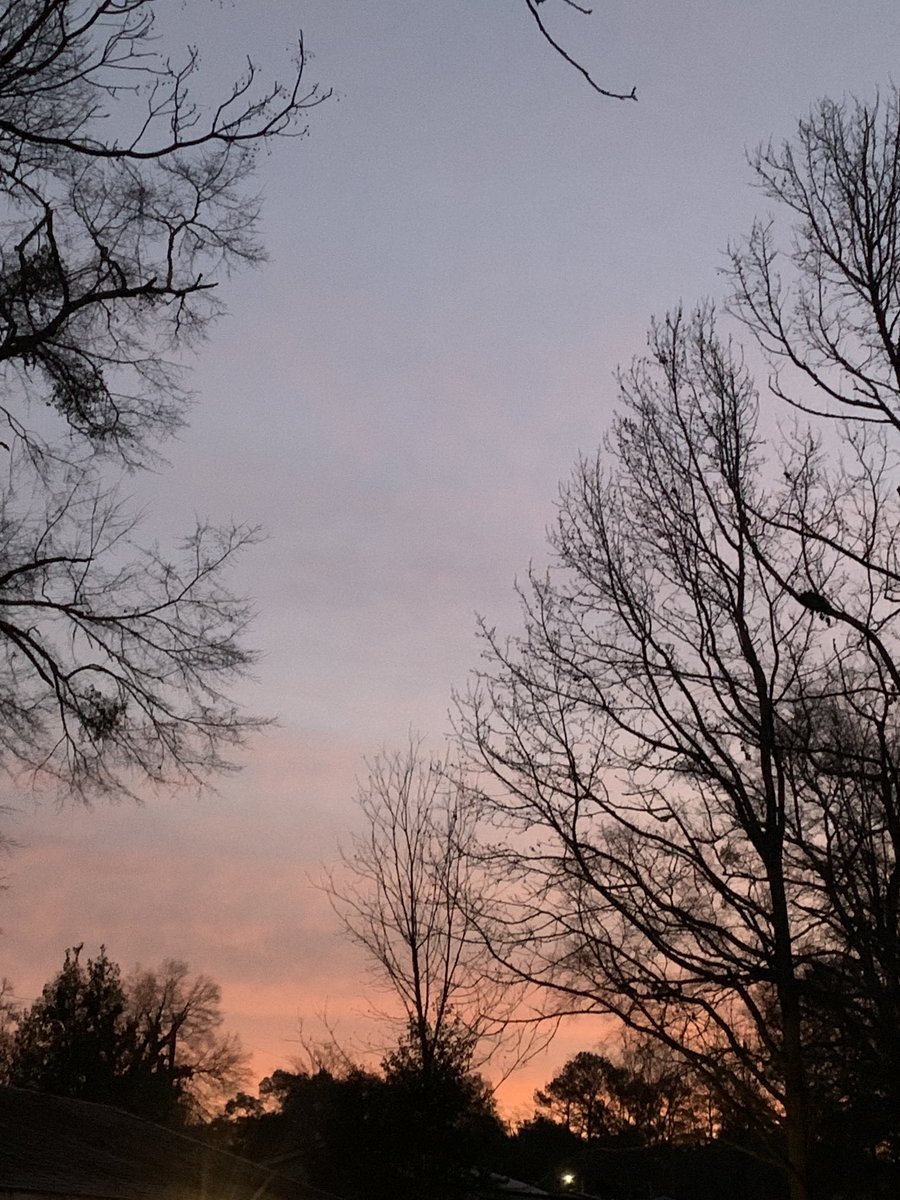 sokamoto's tweet photo. Good morning, Columbus! The sun is starting its climb toward the horizon.and the half moon is shining through the clouds. #ColumbusGA #mydailyphoto #02/04/2021 #2021project #cloudy #verycold #frosteverywhere #tinybreeze #birdssinging #neighborsdogsquiet #distanttrainrunningby https://t.co/6RXMZfhliX