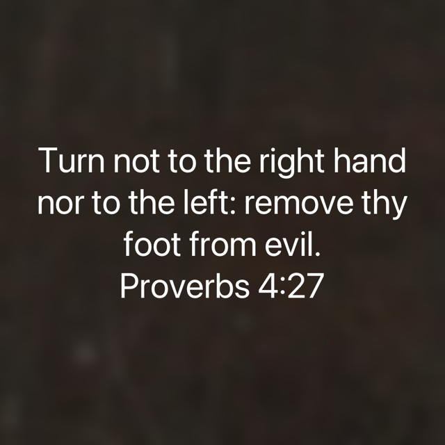 FBC_Today's tweet photo. “Turn not to the right hand nor to the left: remove thy foot from evil.”
Proverbs 4:27 KJV
Keep walking straight ahead on the narrow road where God has placed you. Do not make the terrible mistake of turning aside from God’s PLAN or God’s PATH! https://t.co/ptunikUMrn