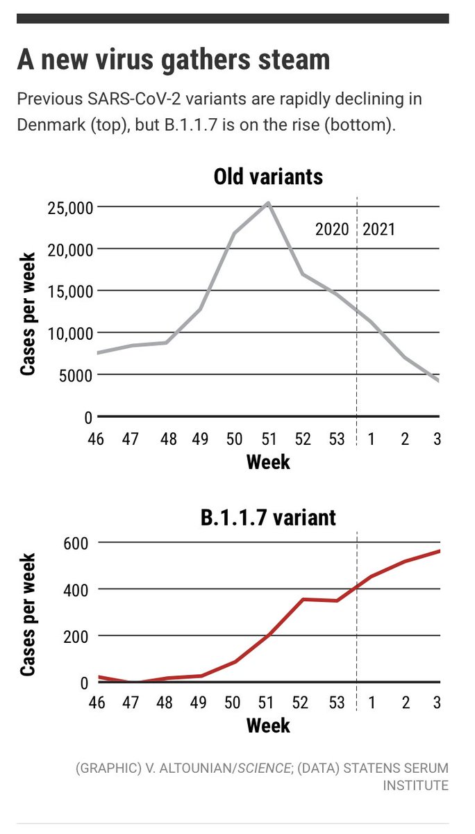 The graph of cases in Denmark looks great. But you have to realize it shows a combination of two epidemics: a rapidly declining one of  #sarscov2 and a slowly increasing one of  #b117. We tried to show in the second graphic (needed different y axes).