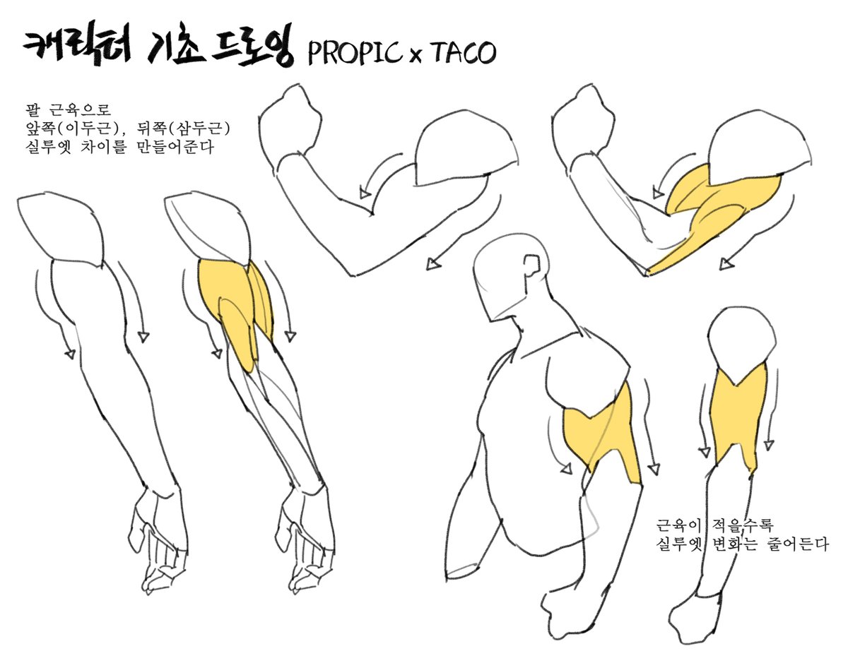 팔 앞쪽(이두근), 뒤쪽(삼두근) 실루엣 차이를 만들어 준다 