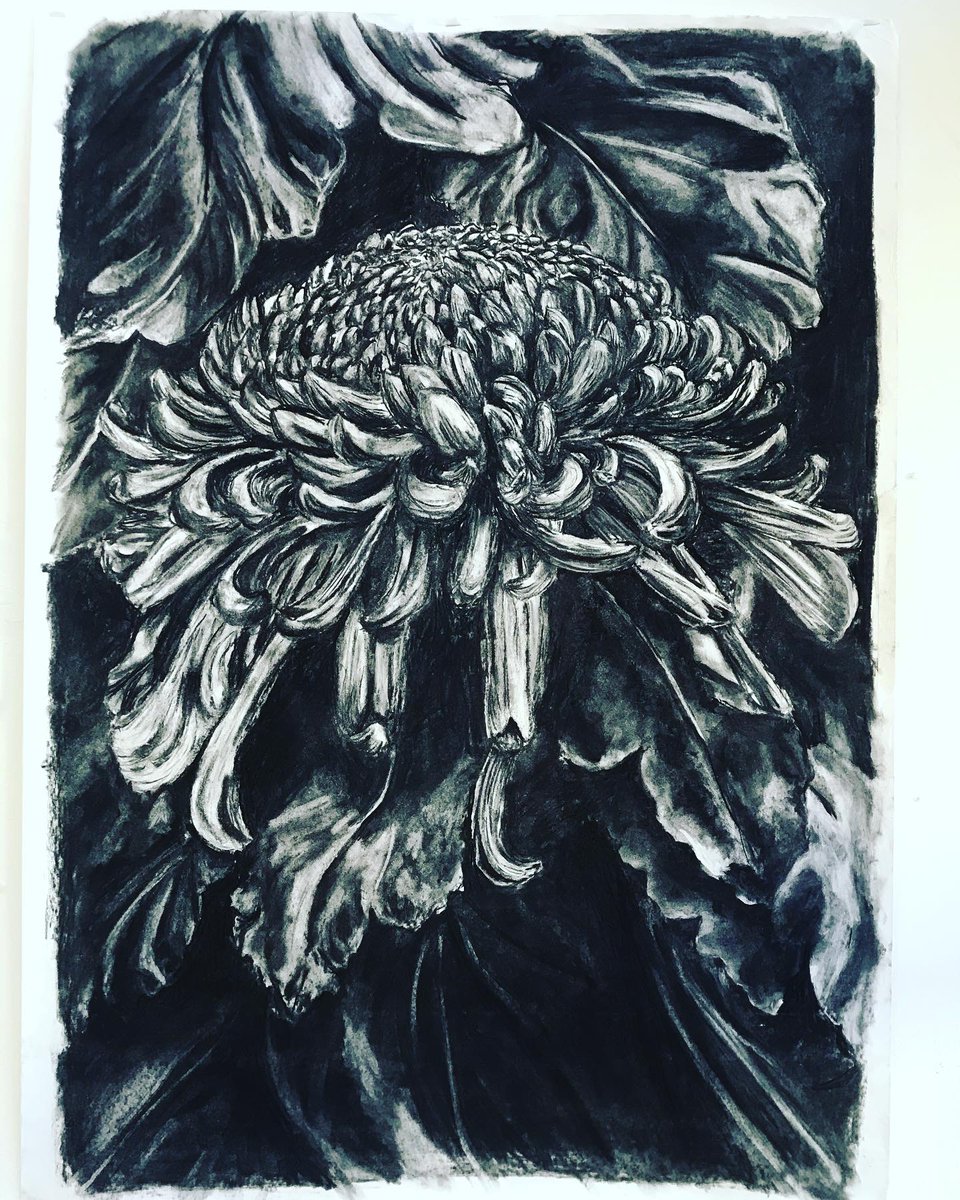 Charcoal drawing year 13 as part of the Personal Investigation #MonktonArt #MonktonArtDes #MonktonYear13 #MonktonInnovates #Monktoncreativity #drawing #charcoal #artandeducation #creativeeducation #observationaldrawing