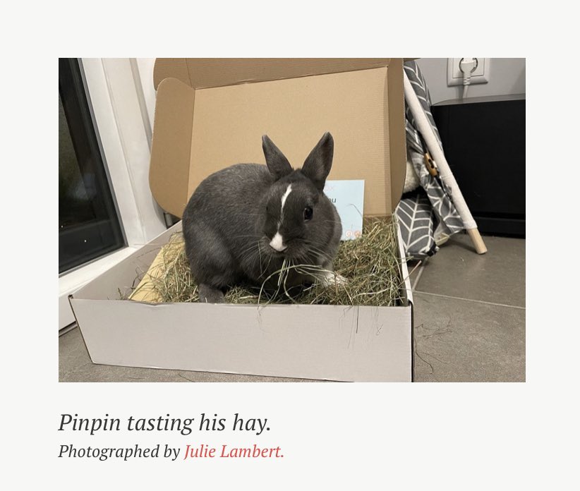 bunbox4's tweet photo. Thank you @nowlapins for our BunBox review!
If you would like to read our review please see the link below π
https://t.co/j2nNTQqrox
#bunbox #minilopsofinstagram #minilops #minilopsofig #minilopsofinsta #miniloprabbit #bunnyrabbit #rabbitsofinstagram https://t.co/qIrIpni0s0