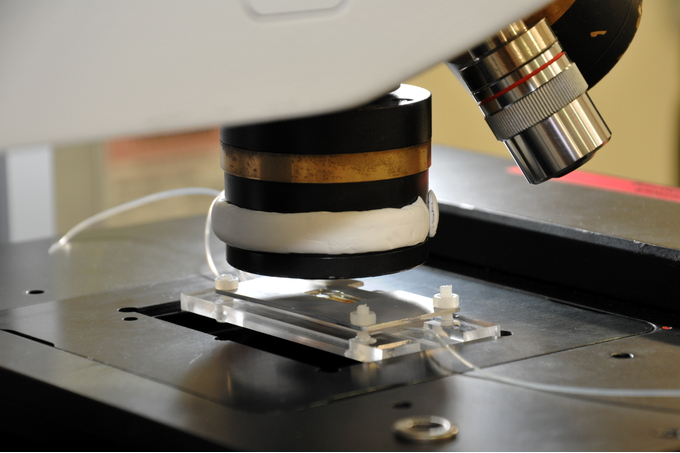 In celebration of reaching 10,000 publications we are highlighting one of Diamond’s facets each week for the next 10 weeks. This is week three and we’re exploring Infrared (IR) Micro-Spectroscopy.