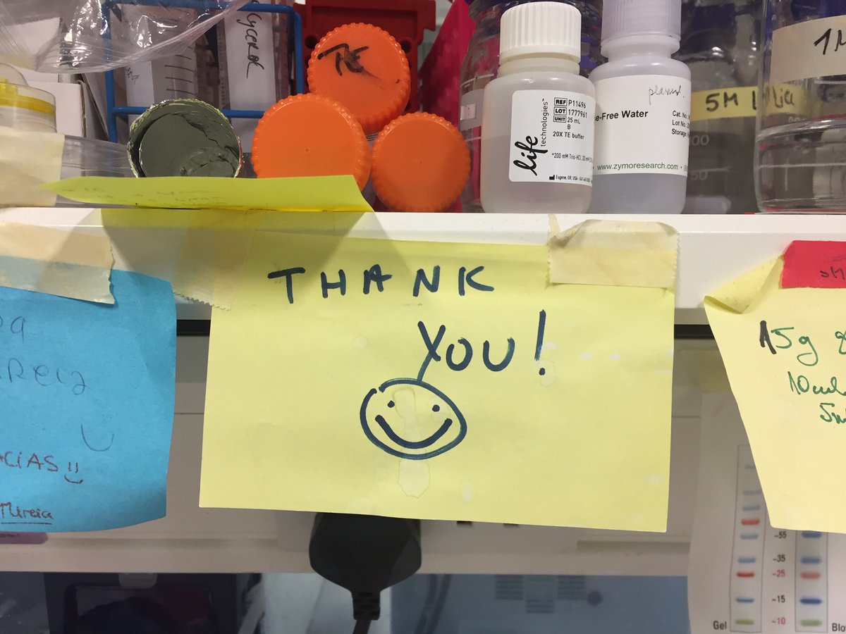 AACancerOrg's tweet image. Today is World Cancer Day &amp;amp; we want to thank everyone that has stuck with us during this most difficult year. We are honoured to fund scientists working on life-saving research &amp;amp; we couldn’t do it without all of our amazing fundraisers and donors THANK YOU aacancer.org