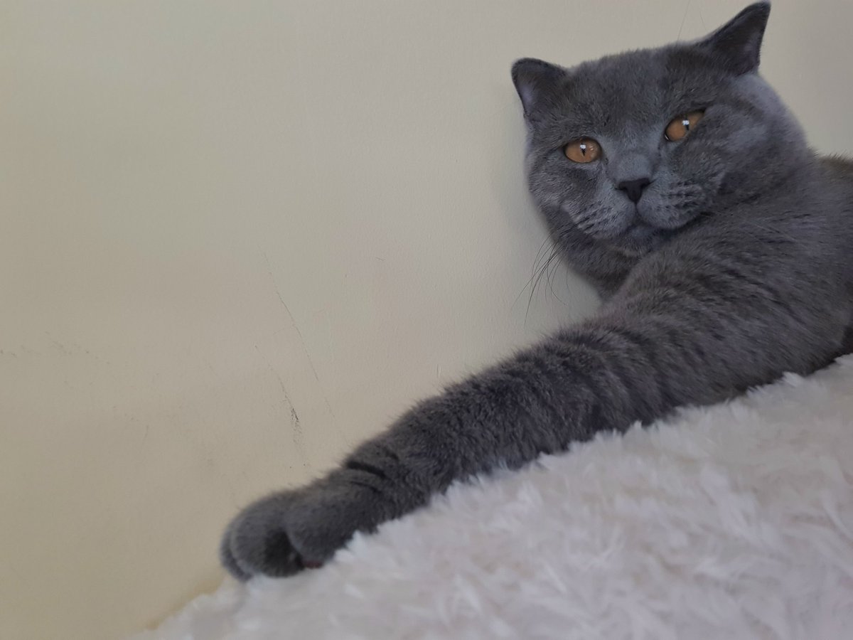 Anne birde böyle çek.
 boyum uzun gözüksün 🤗😻
#duman