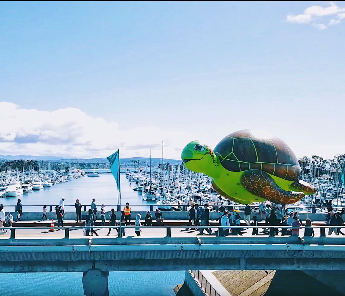 Festival Of Whales tweet media