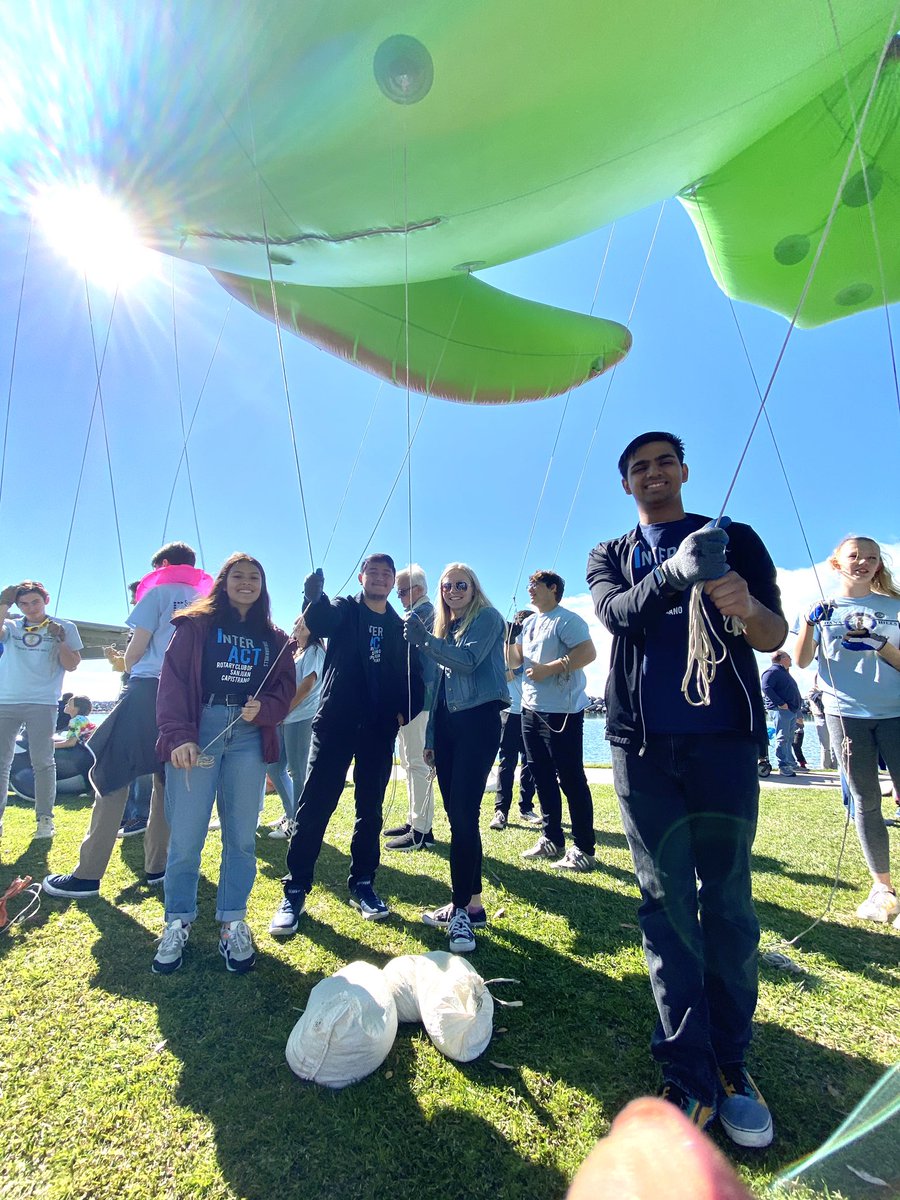 Festival Of Whales tweet media