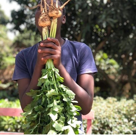 UkulimaTech's tweet photo. Eat your vegetables, have a positive outlook,be kind to people and lastly smile 😏😏 Because what you eat becomes part of you!! Be green .Eat veggies#organicfarming#gardenfresh#zerohunger https://t.co/g1PBD6jTed