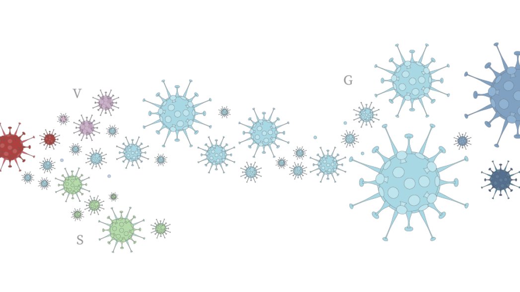 Thousands of variants have been documented as the virus mutates, including the so-called British, South African and Brazilian variants which appear to spread more swiftly than others 2/5