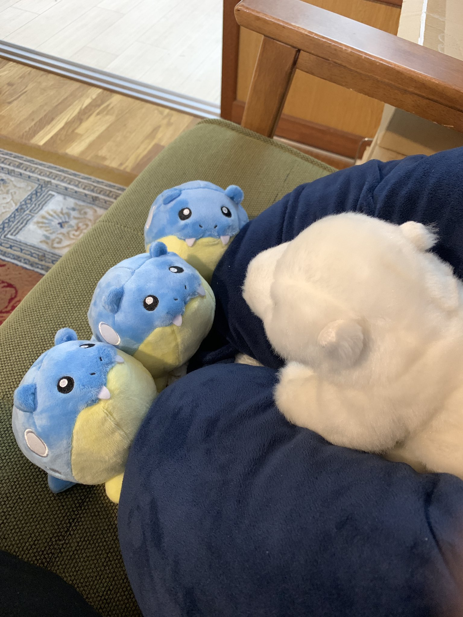 Oppo おっぽー ポケモンも好き タマザラシちゃん大好き Twitter