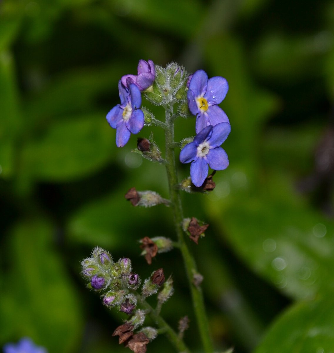 Skerries Community College Photography Club tweet media