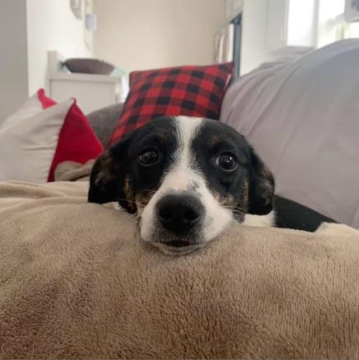 mary wave tweet media