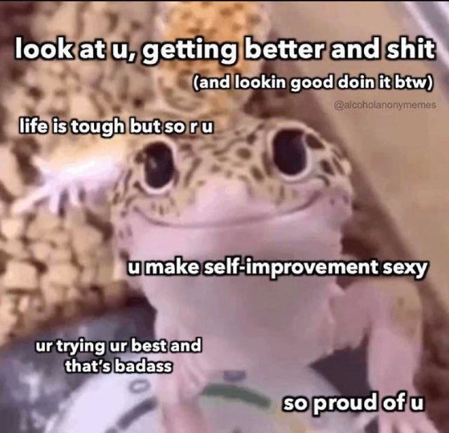 WholesomeMeme's tweet photo. https://t.co/2msDYUa4Pv