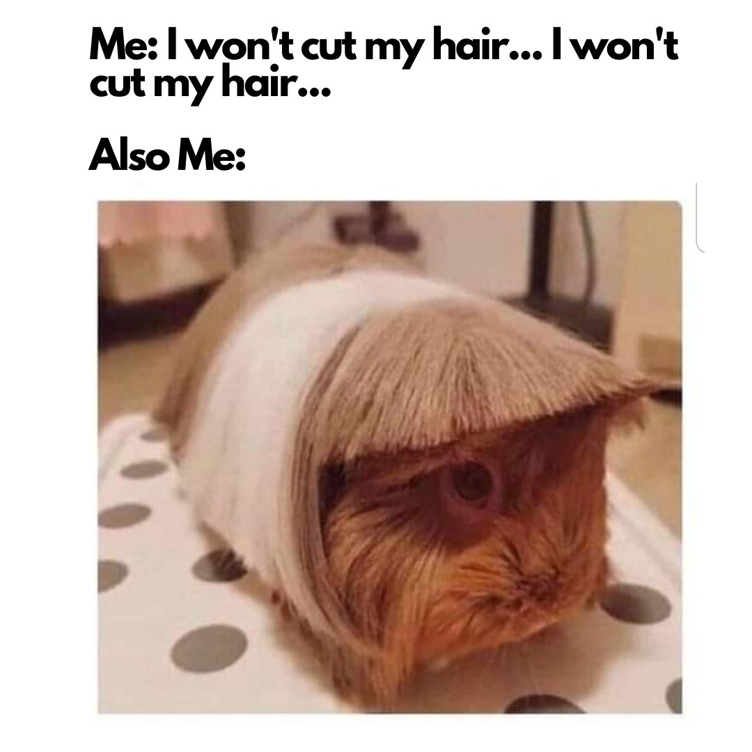 EasyStrands's tweet image. #FunnyFursday

Step away from those scissors! 😄 Lockdown won&apos;t last forever!

𝐄𝐚𝐬𝐲𝐒𝐭𝐫𝐚𝐧𝐝𝐬®
𝐓𝐡𝐞 𝐇𝐚𝐢𝐫 𝐄𝐱𝐭𝐞𝐧𝐬𝐢𝐨𝐧𝐬 𝐒𝐩𝐞𝐜𝐢𝐚𝐥𝐢𝐬𝐭𝐬

𝗛𝗼𝘄 𝗗𝗼 𝗬𝗼𝘂 𝗛𝗼𝗹𝗱 𝗬𝗼𝘂𝗿𝘀?™

#easystrands #howdoyouholdyours #hairextensions #hairextensionspecialist