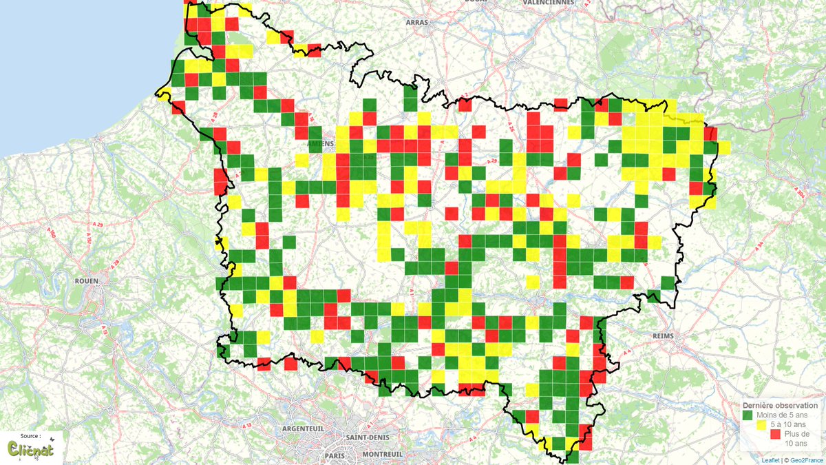 - L'Espèce du jeudi –

La #libellule déprimée (Libellula depressa)