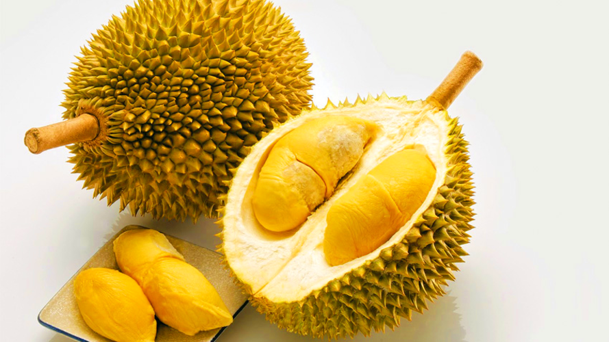 Check out Durian / Durio Grafted Fruit Plant Yellow High-nutrition Very High Taste 6 Pcs  ebay.us/KFlTSR via <a href="/eBay/">eBay</a>  🍋🧅🍋🍋