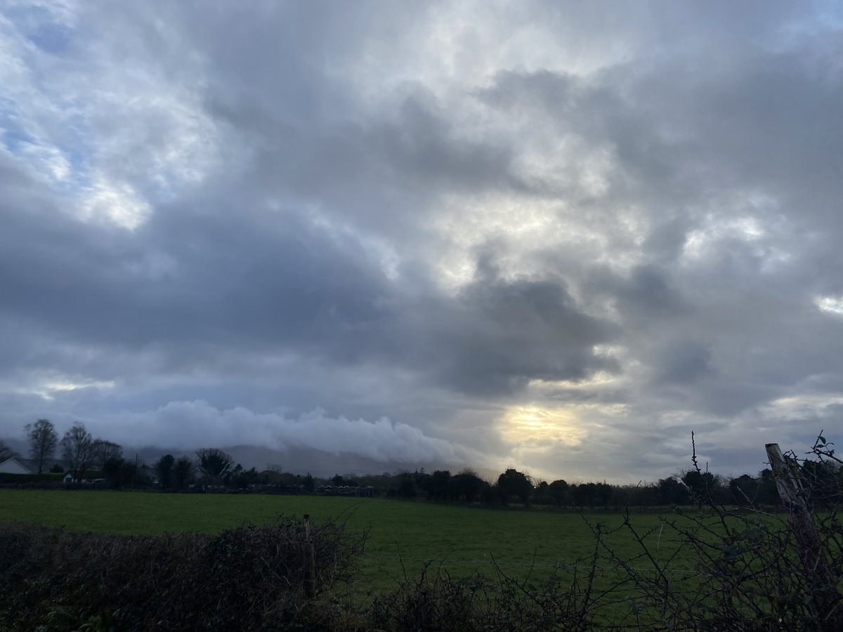 mshanley_m's tweet photo. Day 35 #100DaysofWalking #MovewithTrisha #WorldCancerDay #IAmAndIWill if in doubt #getchecked #signsofspring #spring #Tubbrid #lockdown3 #within5k @IrishCancerSoc @WorldCancerDay @100DaysOfWalkin @WAWHour https://t.co/xyYUlcr9Pb