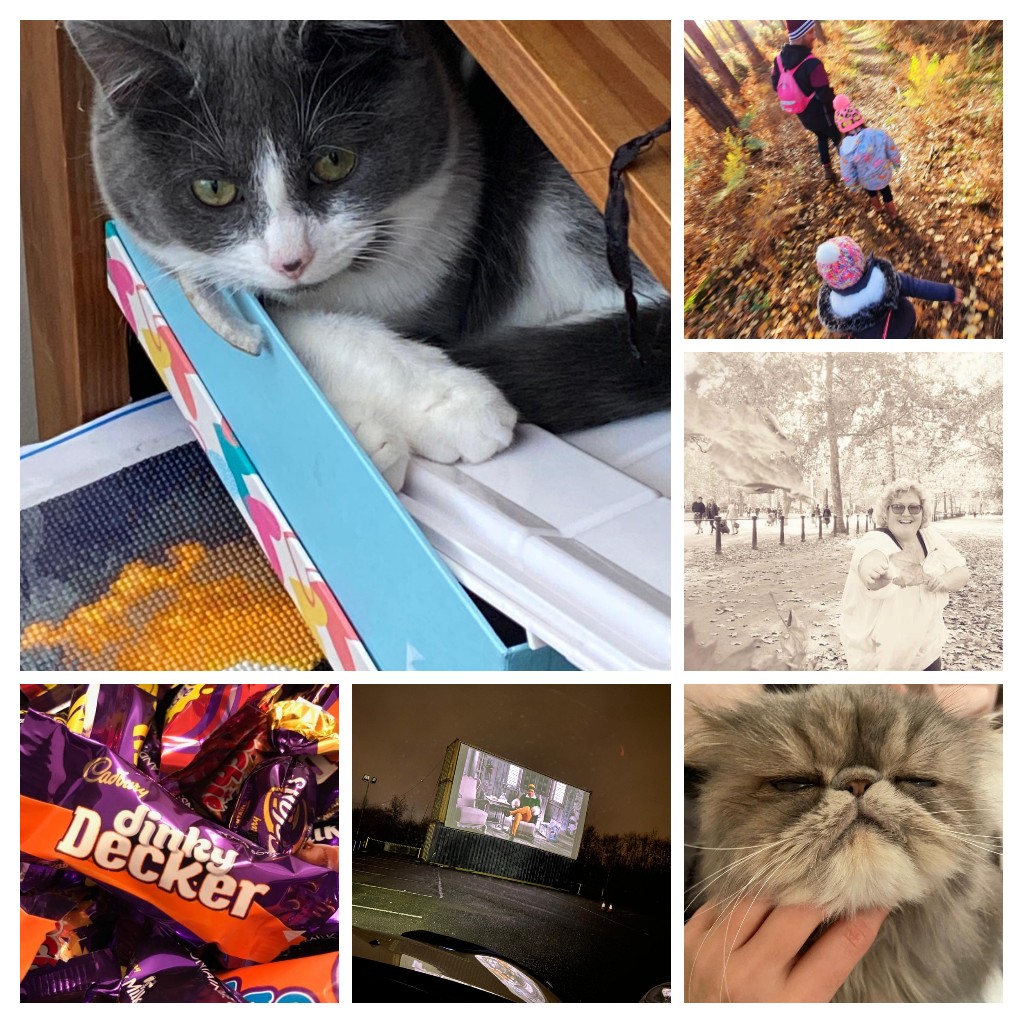WellbeingRba's tweet photo. See if you guess spot what Mr Mills, Mrs Booth and Mrs Day class as a 'good wellbeing' week in their households 🐱🍫🌳We are encouraging you all to do something mindful that allows you to switch off mentally this week for #childrensmentalhealthweek2021 https://t.co/99VX8afHkd