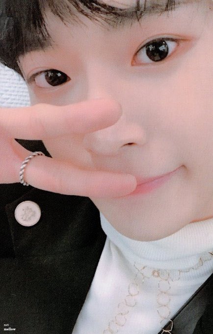 ag981226's tweet photo. NCT 엔시티 127 일이칠 Doyoung 김도영 도영 포카 포토카드 양도받아요~ 🥺😭🙏

SELL ❌
BUY ⭕️ 

디엠 주세요~

네오시티 카드홀더 콜북 티홀 팬톤 짚노트

태일 태용 도영 재현 쟈니 지성 제노 유타 마크 윈윈 재민 쿤 텐 정우 해찬 루카스 런쥔 천러 https://t.co/I453wRT9ld