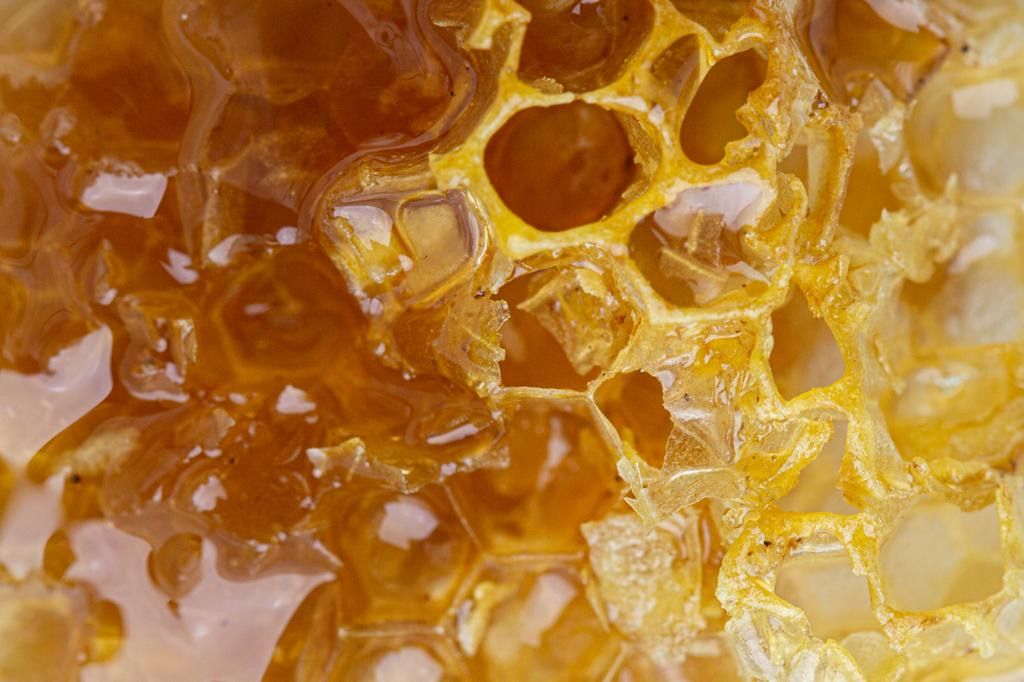 Esta y no otra es la miel de mis amores. El alimento del sol: revistahojasanta.com/tentempie/2021…

🐝 Yuls Suárez (<a href="/Yuls_Sp/">Yuls</a>)