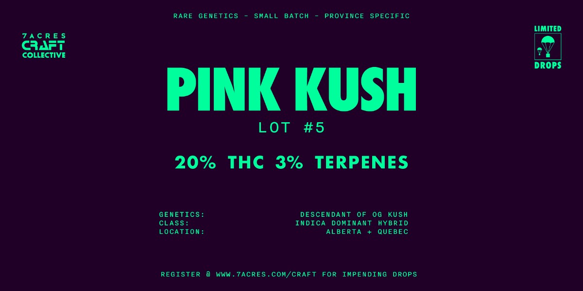 7ACRESmj's tweet photo. New drop of Tom Ford Pink Kush has landed. This lot has intensely pungent fuel notes and 3% terpenes. Now available in Alberta and Quebec for a limited time only.
Link: https://t.co/JaRlRmLQdN
#7ACCC #PinkKush #RespectThePlant #CanadianCannabis #CraftCannabis https://t.co/ajdACWBQ6e