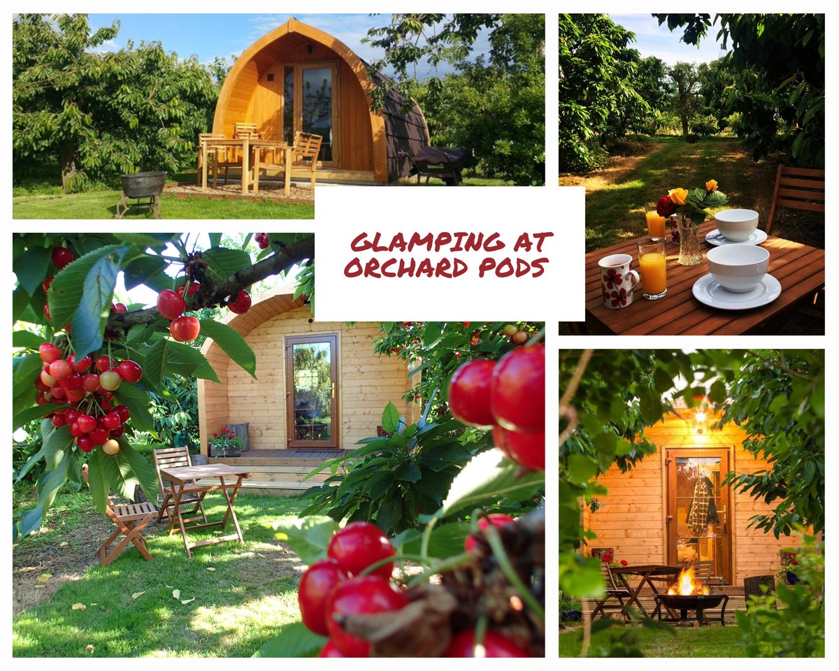 OrchardPods's tweet photo. Offering all bookings made before the end of February at our 2019/20 prices. Book at https://t.co/gbUlIPnsHM We will welcome guests back to the #orchard as soon as we are able to. Please note all bookings are refundable in the event of #COVID cancellations #glamping #staycation https://t.co/TeSh8FoXo3