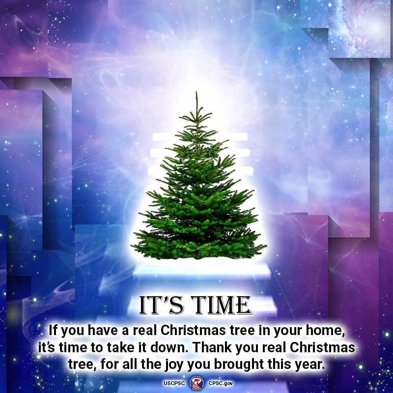 A real Christmas tree ascending a glowing staircase into the great beyond. The text reads: it's time. if you have a real Christmas tree in your home, it's time to take it down. Thank you, real Christmas tree, for all the joy you brought this year.