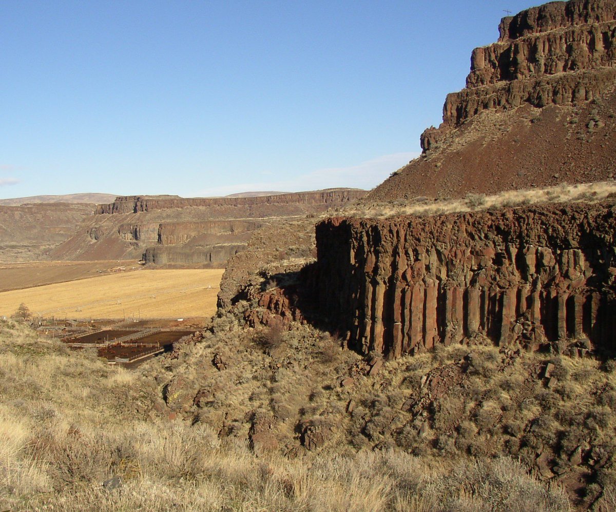 The warm spell was likely kicked off by volcanic CO2 from the Columbia River Basalts, rocks that now span a vast region in the northwest US, but were once overflowing rivers of lava. They were of a rare, catastrophic class of volcanic eruptions called Large Igneous Provinces