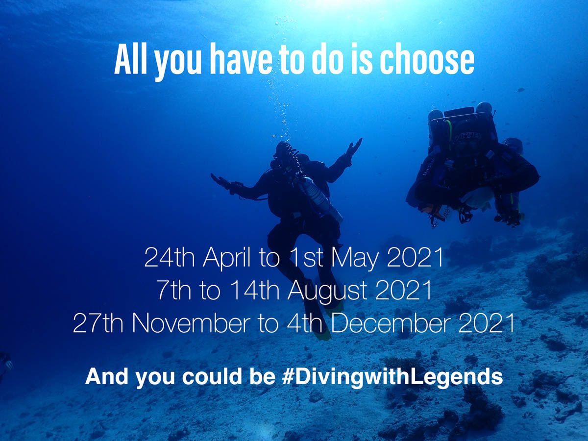 TheScubaNews's tweet photo. Return To The Peace of the Red Sea with @TekdeepSafaris and @DivewithLegends - https://t.co/t2I9LIFN2N https://t.co/0KdbW5Z8l8