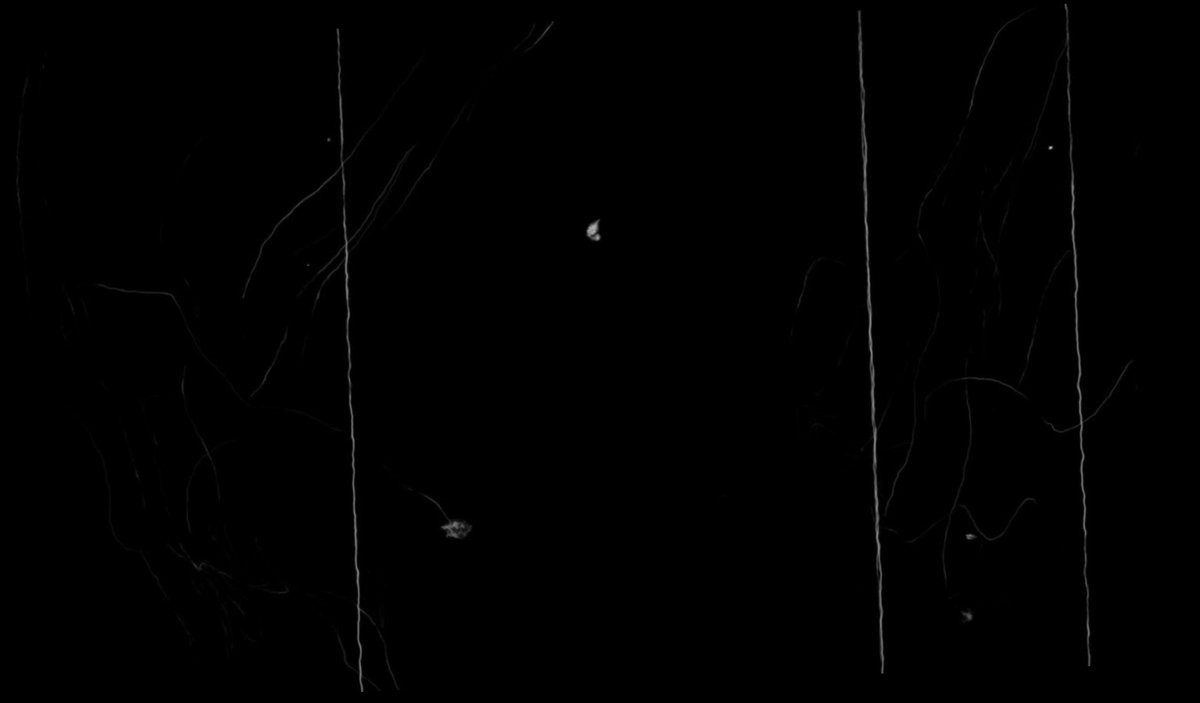 scratch tv screen mp4 video download / Twitter