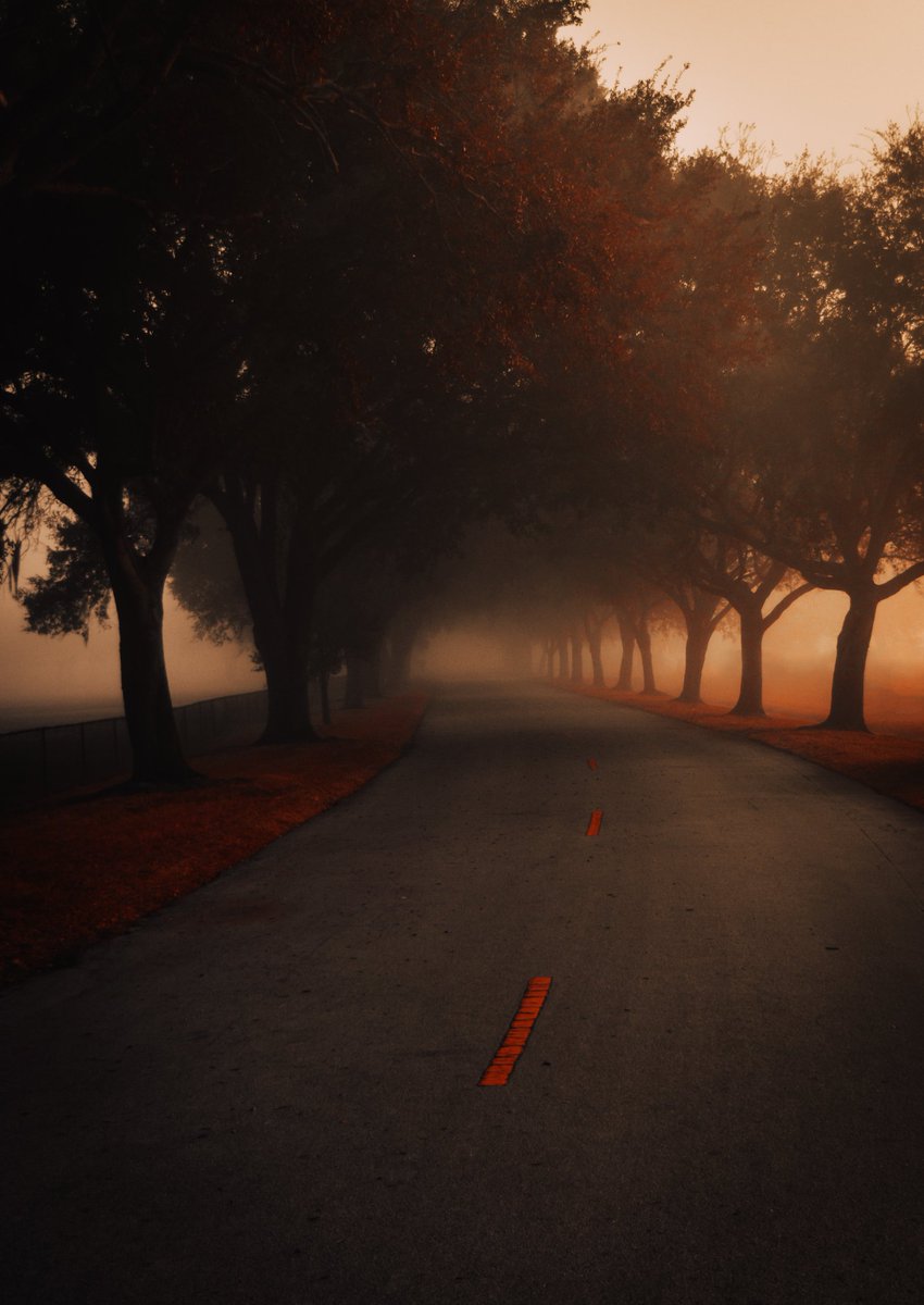 MalansPhoto's tweet image. C O L O R