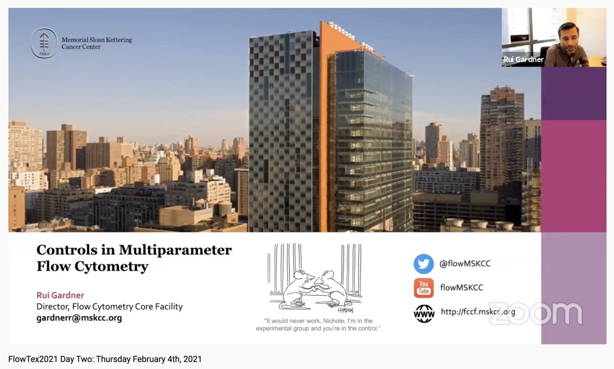 FlowMskcc's tweet photo. #FlowTex 2021 Day 2 is happening now! Starting with a talk on controls in multiparameter #flowcytometry by our very own Rui Gardner!
https://t.co/bVuIzogAPE https://t.co/eK3tlRPvjC