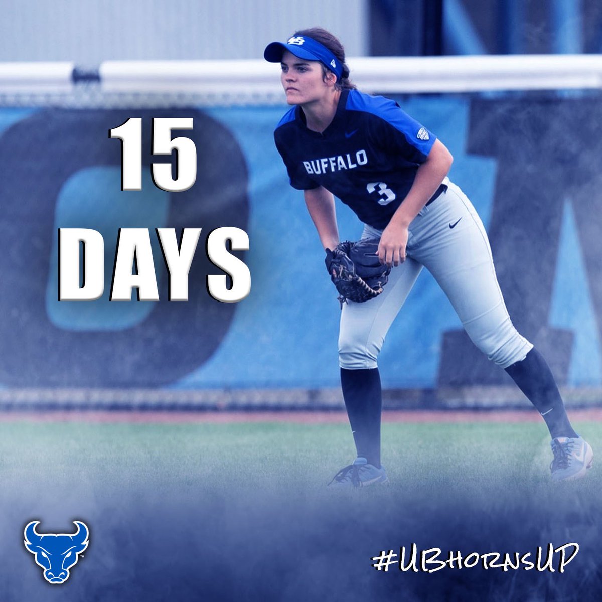 Buffalo Softball tweet media