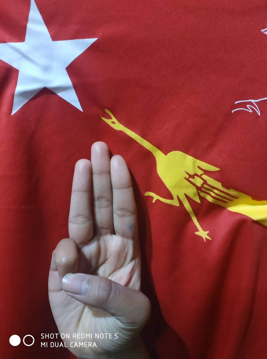 Let the dictatorship fail
#HearTheVoiceOfMyanmar 
#RespectOurVotes