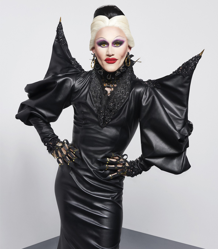 Illustration of a Vampire Bat